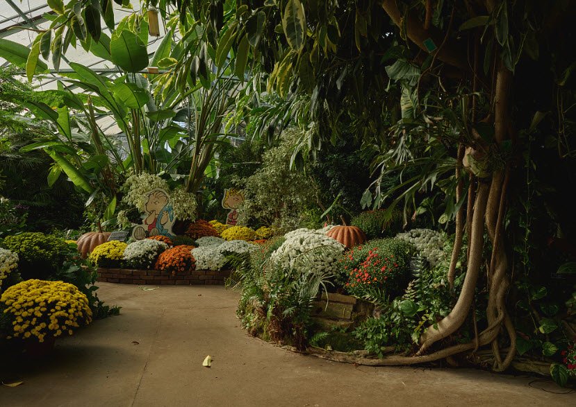 Luthy Botanical Garden, United States
